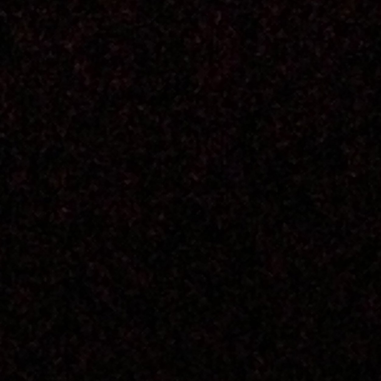 LalalazyBird's profile picture. 