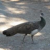 21nadya2's profile picture. Взаимный фолловинг!