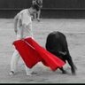 dbbyebra's profile picture. Enamorado de la vida, mi familia y los toros. Aunque no precisamente en ese orden.Yebra España