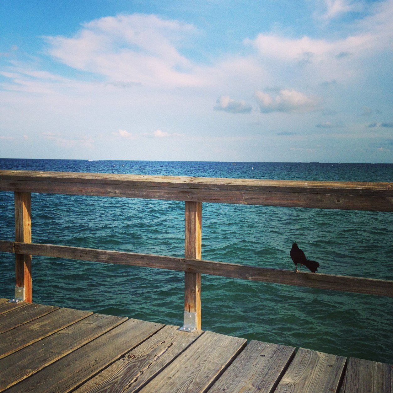 mrwhynot21's profile picture. Up and coming business man thats ready and willing to grind and push harder then anyone ..... I want my children's children to be taken care of and beyond ....