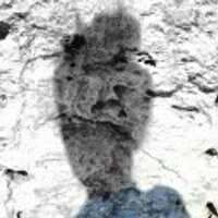 Doris Zaccaria (@doriszaccaria) 's Twitter Profile
