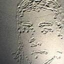 murmelnet's profile picture. Just curios. The universe is so amazing!