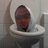 GrandeAcca's profile image