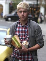 FaultOfNiall's profile picture. Slowly dying at fifteen sucks (RP. Gay)