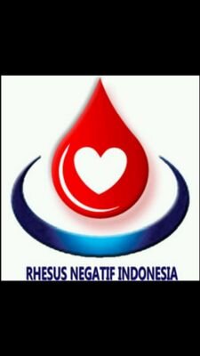 Akun resmi Rhesus Negatif Indonesia #RNI #rhesusnegative  #Indonesiasadarrhesus 
CP   (WA only).: 08128041499 / 0816790775 
FB  : Rhesus Negatif Indonesia