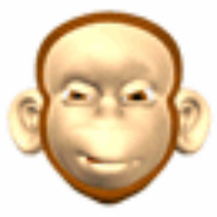 Max Cota (@maxcota) 's Twitter Profile