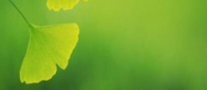 Aa1659's profile picture. 