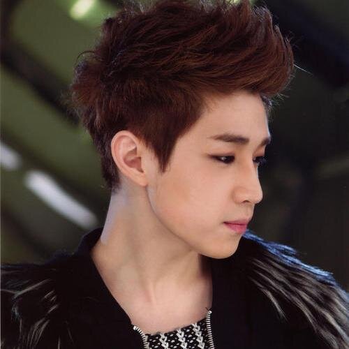 super junior henry