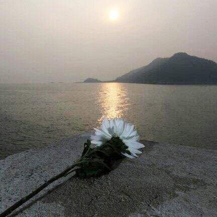 추억으로는 응사까지야... 유신으로 회귀는 망령이자나 ㅠ..ㅠ