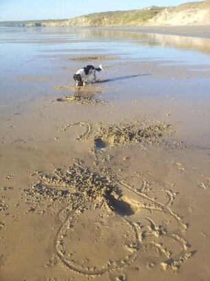 VetNurse_Bex86's profile picture. Usually busy helping critters recover or at the beach relaxing with the dog.