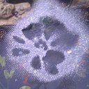 RichardpelPell's profile picture. 