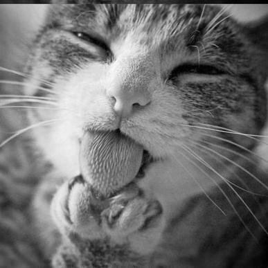 Arrival_2's profile picture. 