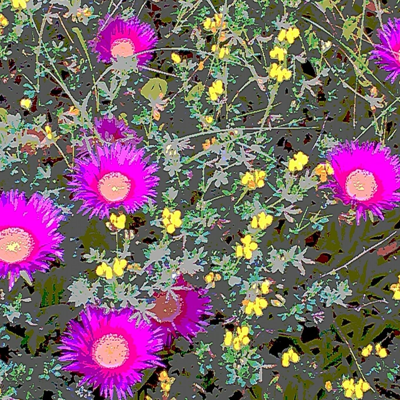 carpans's profile picture. 