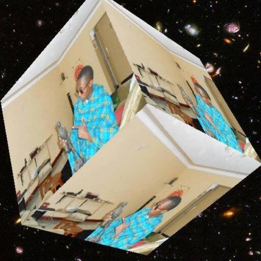 we live once