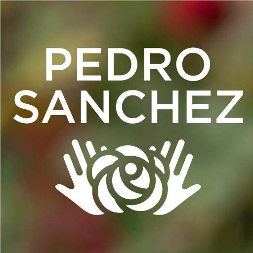 Militantes de Apoyo a Pedro Sánchez a la Secretaria General del PSOE. Desde Cantabria lideremos el cambio, hagamos que el cambio llegue al Partido Socialista.