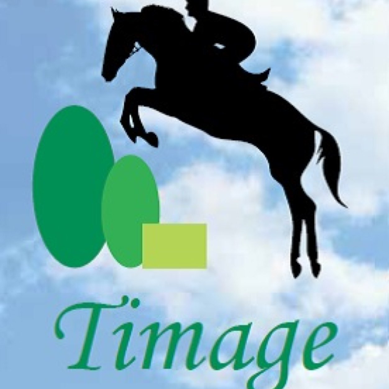 TimageHaylage's profile picture. 