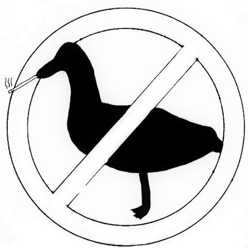 MaximumZeroooh's profile picture. Makers of avian tunes since 2012

Zero!  Zero!  Zero!