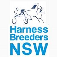 Harness Breeders NSW (@harnessbreednsw) 's Twitter Profile