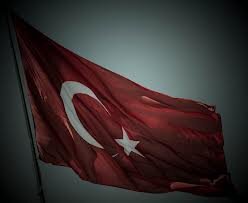 gkhnkdl's profile picture. 