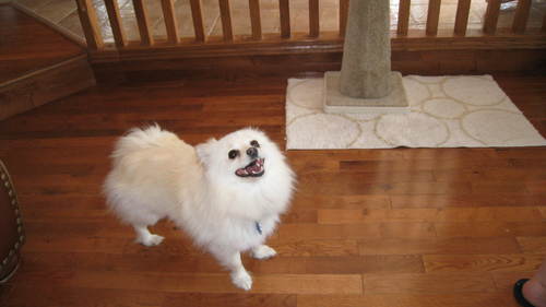 HLCathyb's profile picture. Wife, mother, grandmother