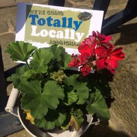 TotalLocal Addingham (@addinghamlocal) 's Twitter Profile