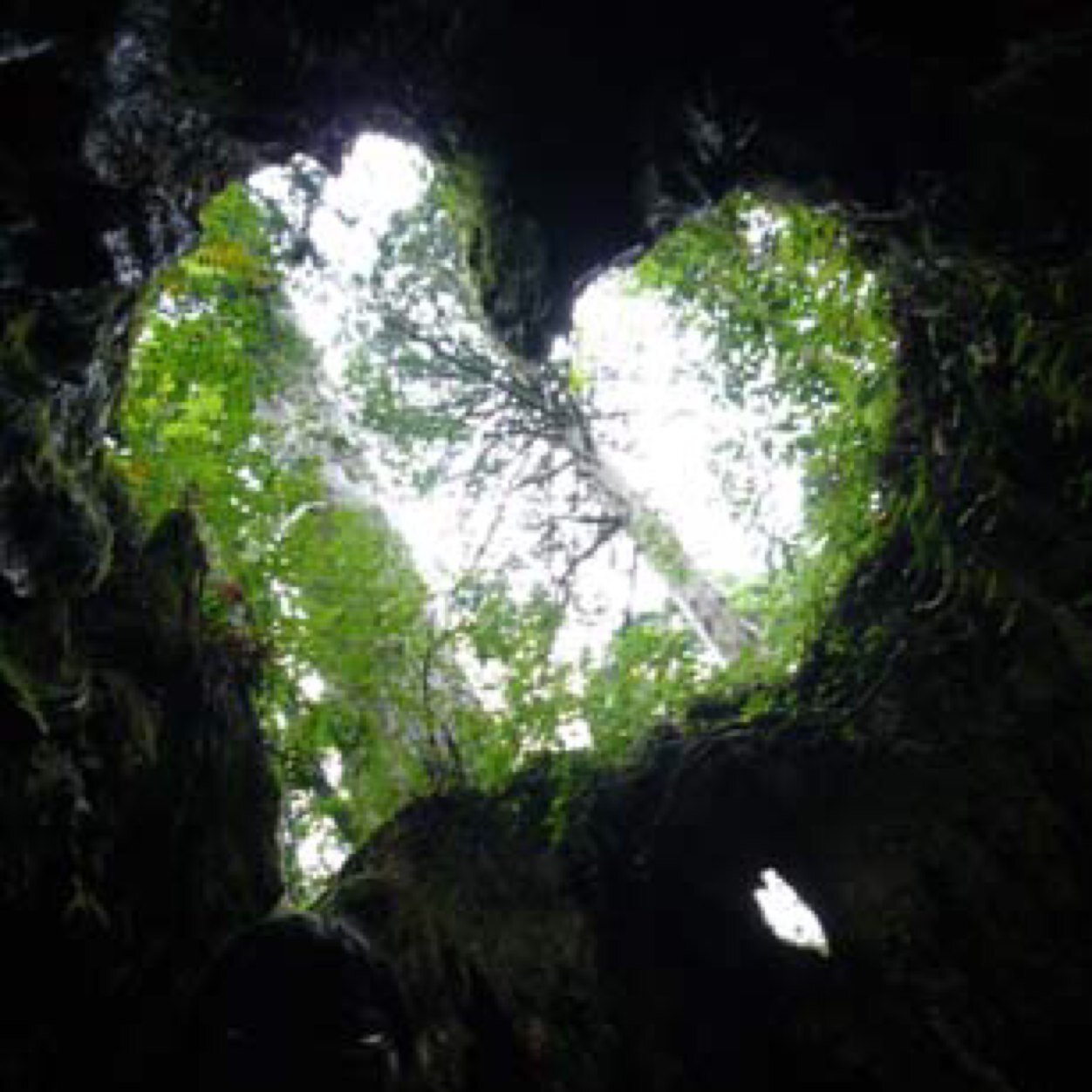 magcafe7's profile picture. 