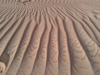 Umsaif666's profile picture. مهتمه بقضايا الاسره احاول نشر الوعي بقدر الامكان ملهمتي ناعمه الشامسي❤️