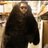 apn504's profile image