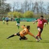 Rafael de Diego (@rafaelportero13) 's Twitter Profile