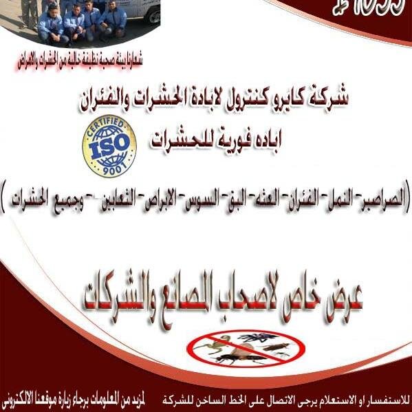 cairo19035's profile picture. التخلص من البراغيث-التخلص من البراغيث-التخلص من البراغيث-01200044572 / 19035-التخلص من البراغيث-01200044572 / 19035.ابادة الحشرات بدون ازالة الاوانى .