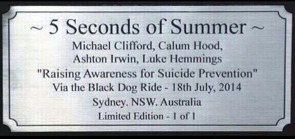bisexual/Im recovering from self harm/dm me if you need to talk/6 days clean/Ashton inspired me to stop sh.