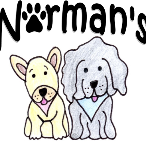 normans dog day care