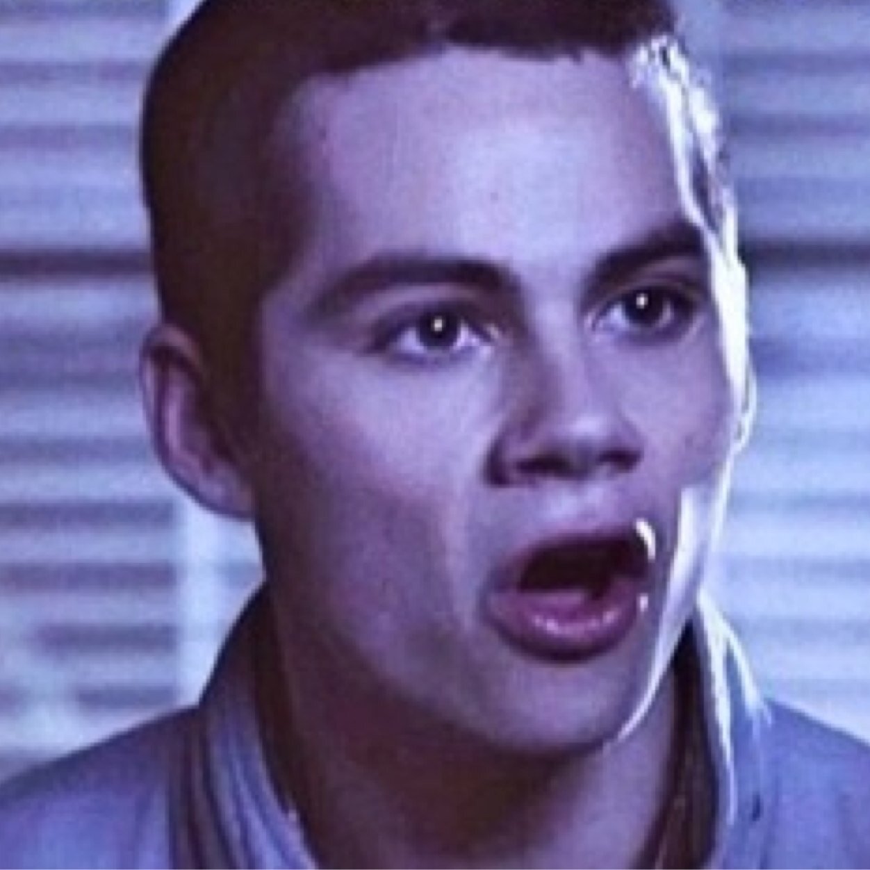 follow @nialIies if u ship stydia