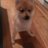 ab_verplanke's profile image