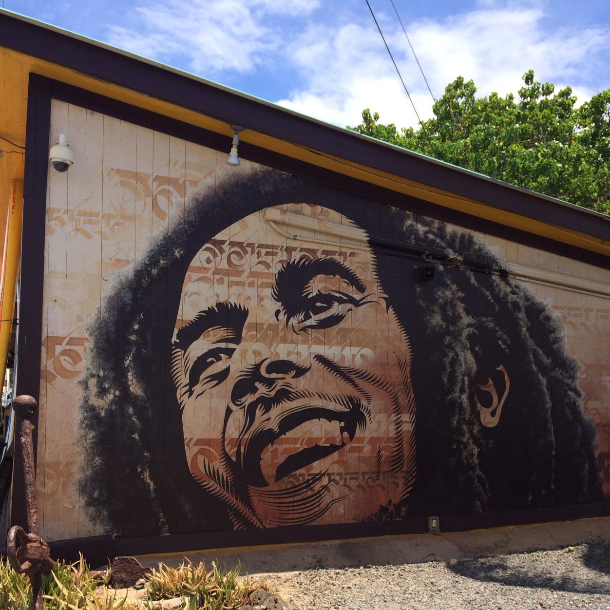 akii_chan's profile picture. 何が好きってREGGAEが好き～♪なにが趣味ってREGGAEが趣味～♪       jamaica☆reggae☆hawaii☆