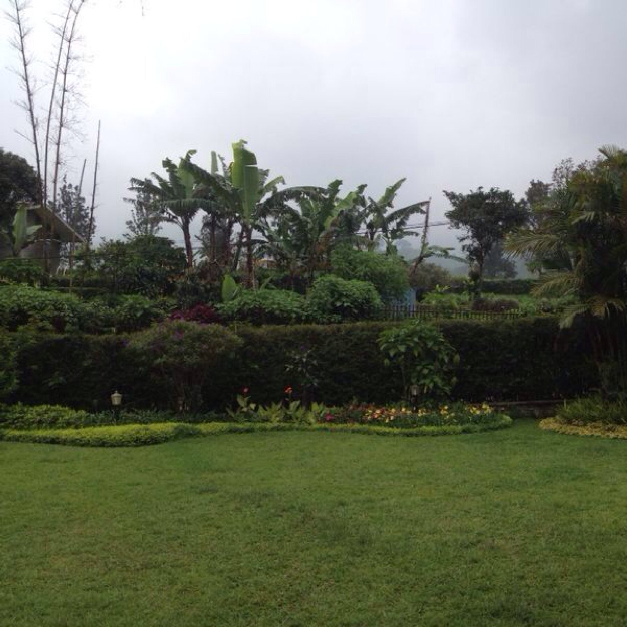 0555502's profile picture. 