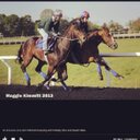 Sarah Niles - @scnsouthie - Twitter