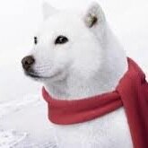 kuromaru009's profile picture. べんきょうしています