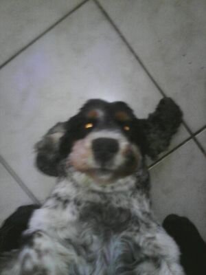 domitomi85's profile picture. Cs:go 3