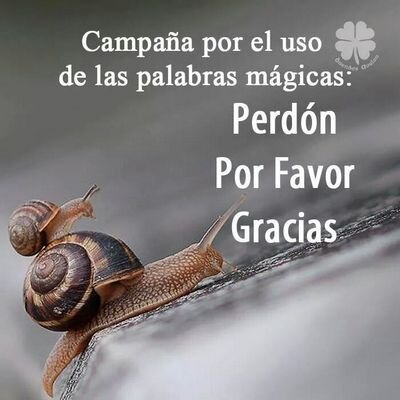 maribeljmendez's profile picture. Prudencia, Sabiduría y Responsabilidad