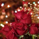 مغترب (@053481) Twitter