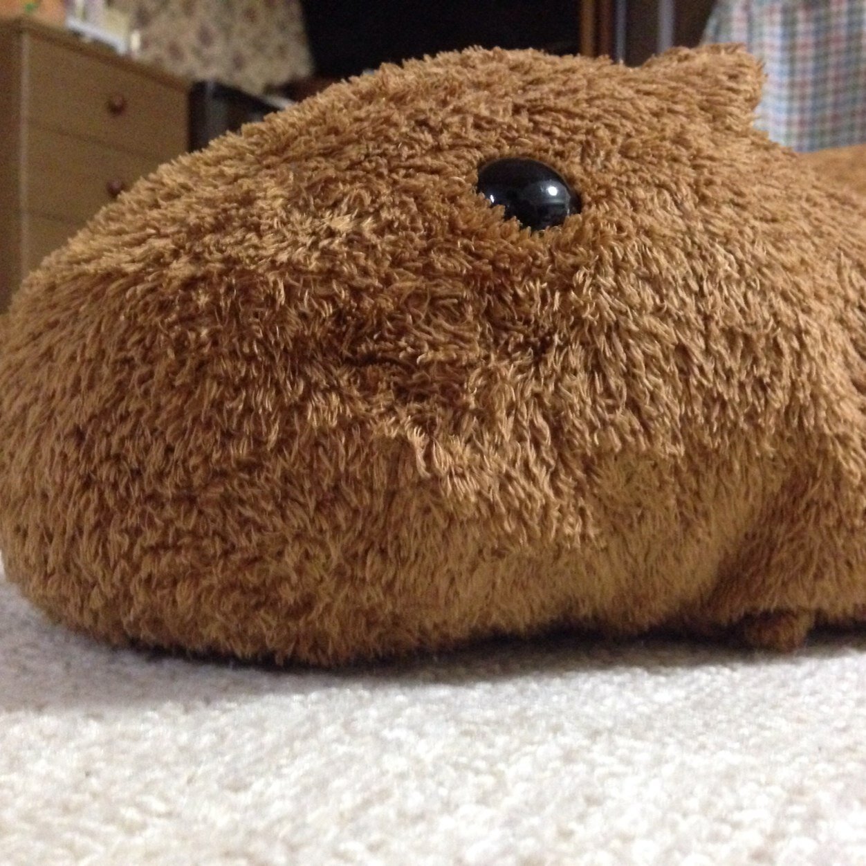 quizlas's profile picture. どうも、松岡です。LSQC情報ばらまきます。