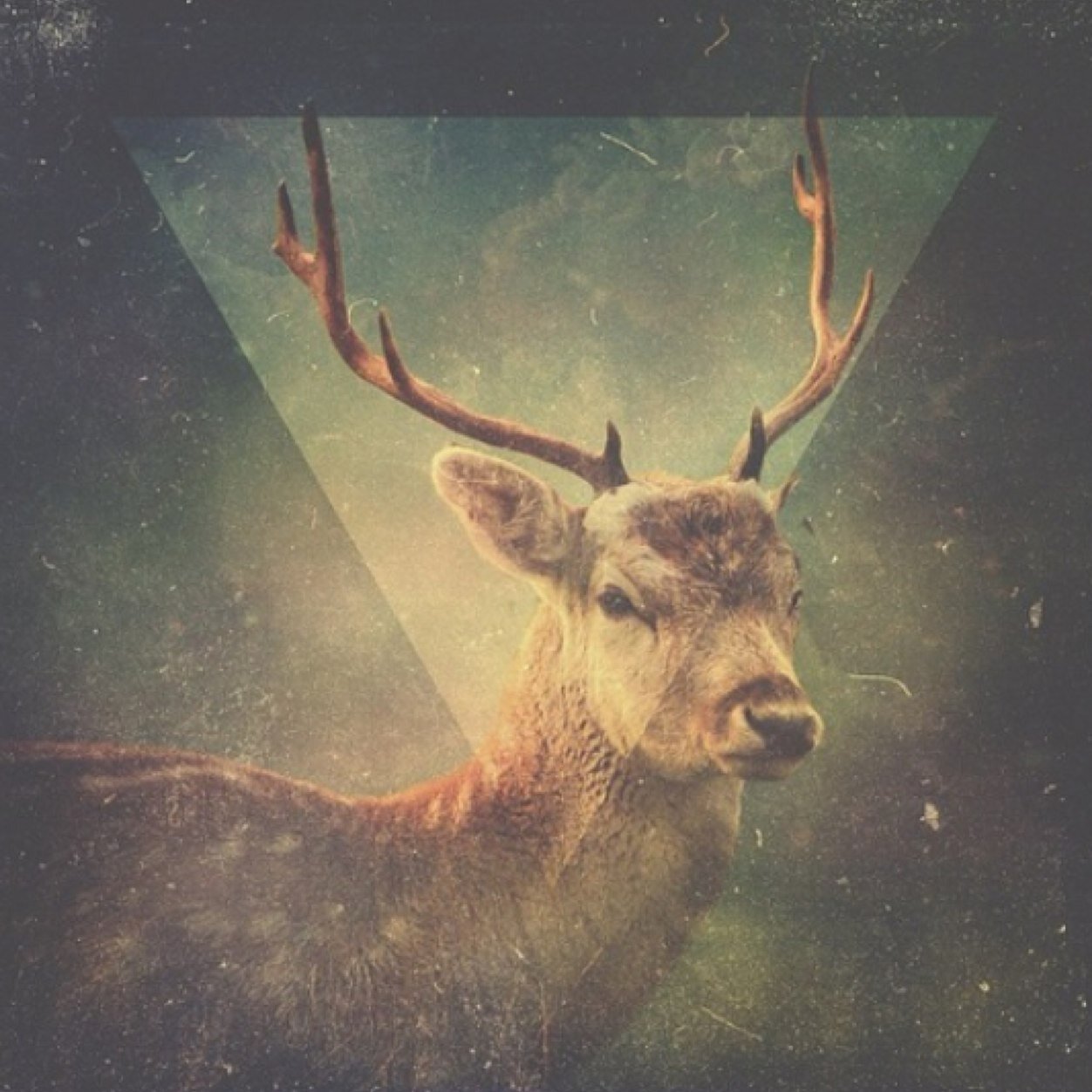 hi there/ i'm hipster, you know,  it's awesome/ all interesting people are welcome/ follow me/ and that's my story