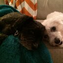 Laura Rowley - @_reallypeople - Twitter