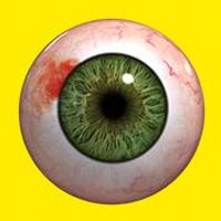 Utopia (@c4utopia) 's Twitter Profile