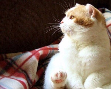 OxyNowels's profile picture. Joined back Oxygen as Player ~  Former: Oxygen Overall leader, NeRo