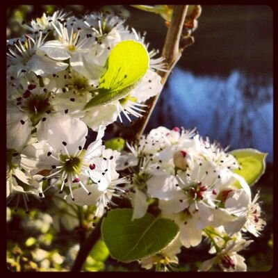 tugceksk's profile picture. 