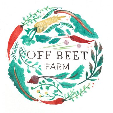 Small Farm. Delicious Vegetables.