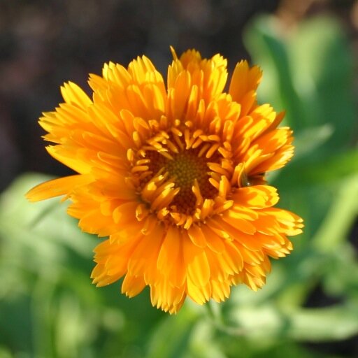 HTRBoutique's profile picture. Hidden Treasure Ranch Boutique is Rustic & Redefined
Using my creative style for handmade gifts and decor. While sharing homemade recipes on my blog.