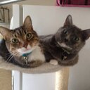 Kyle Sefton - @kylesefton - Twitter